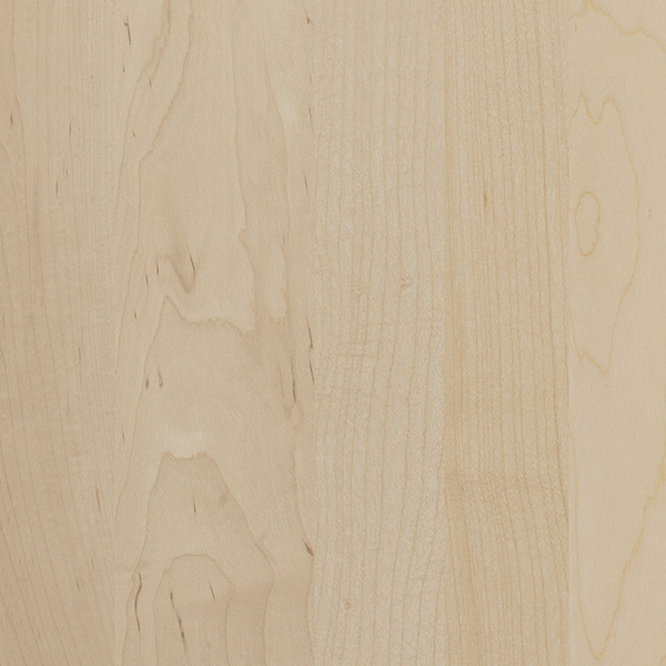 Tofino_Maple