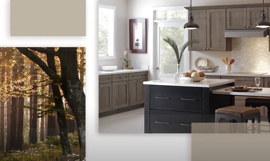 Cabinet_Organization